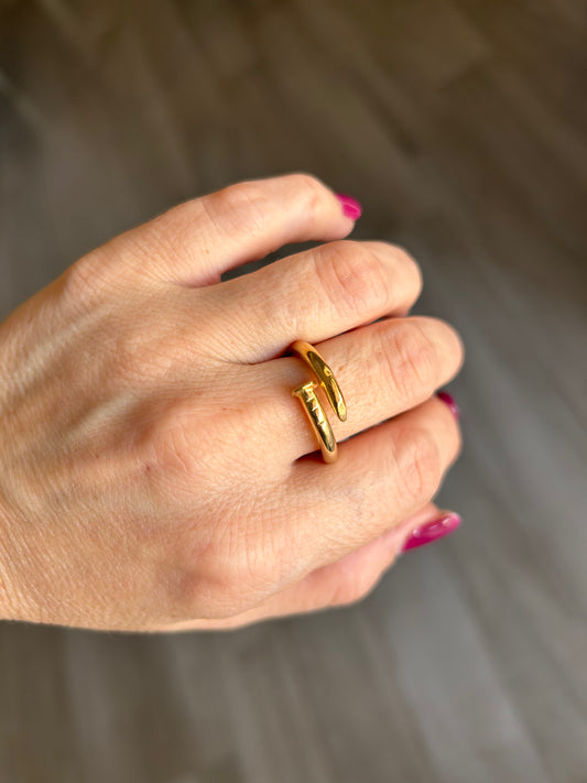 Anello Chiodo